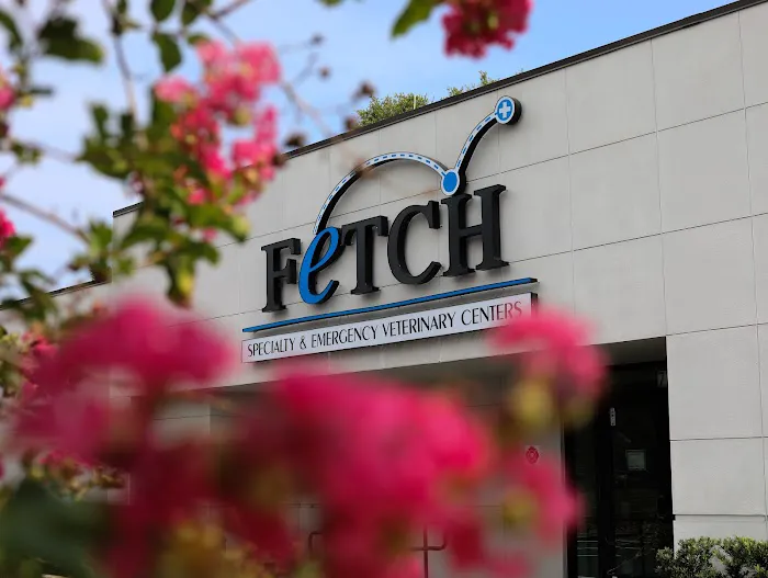 Fetch Specialty & Emergency Veterinary Centers - Brandon, FL Picture 3