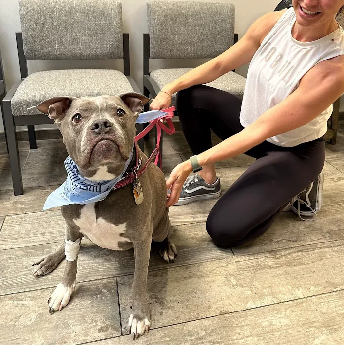 Fetch Specialty & Emergency Veterinary Centers - Brandon, FL Picture 5