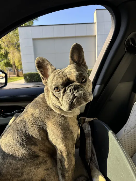 Fetch Specialty & Emergency Veterinary Centers - Brandon, FL Picture 9