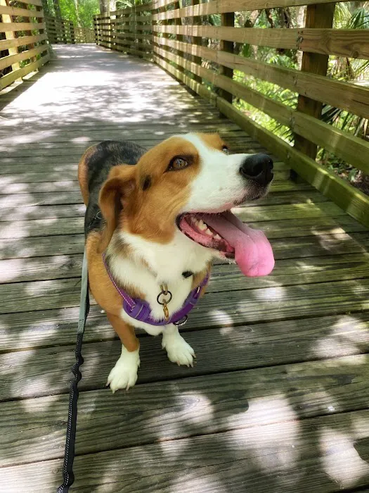 Fetch Specialty & Emergency Veterinary Centers - Brandon, FL Picture 10
