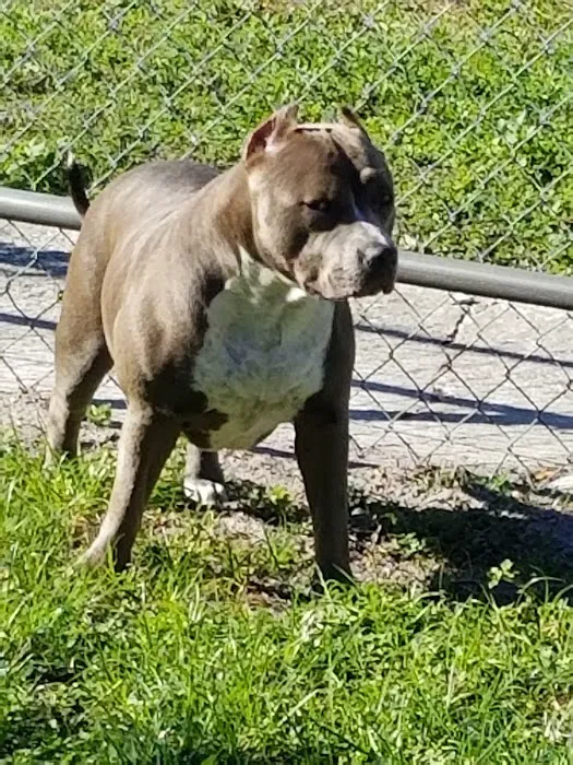 Morgan Animal Hospital Picture 3