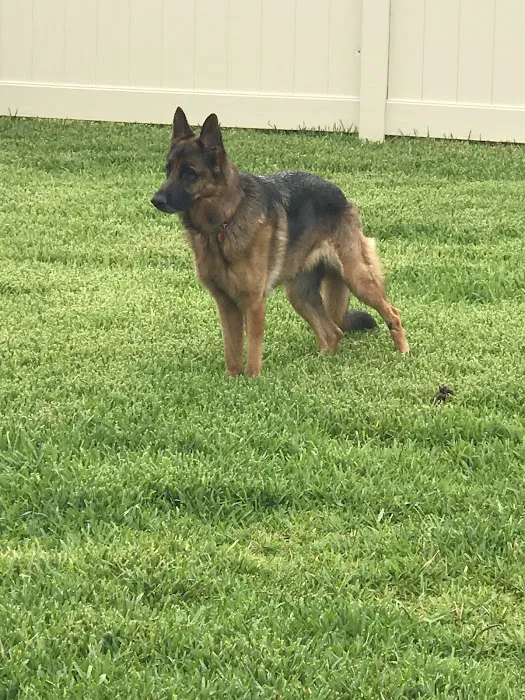 Morgan Animal Hospital Picture 6