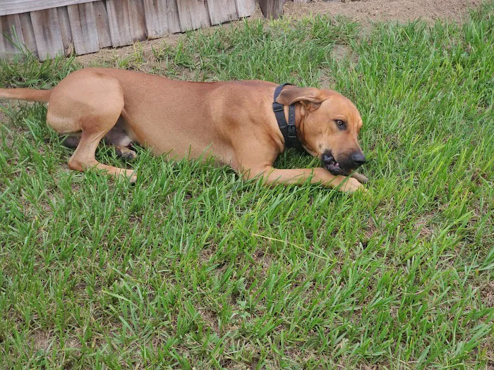 Suncoast Veterinary Clinic Picture 2