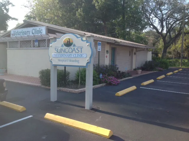 Suncoast Veterinary Clinic Picture 6