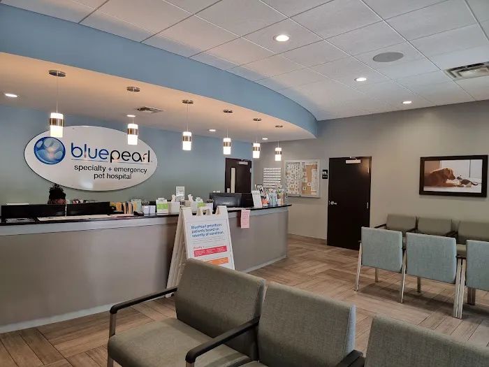BluePearl Pet Hospital Picture 1