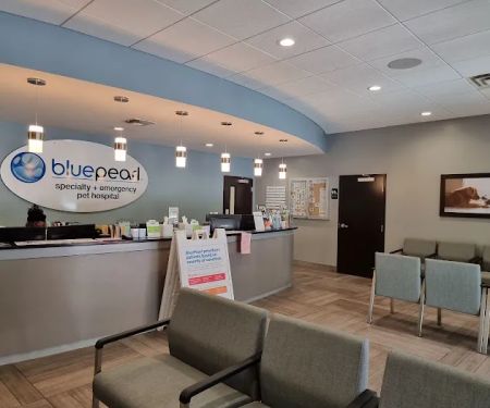 BluePearl Pet Hospital