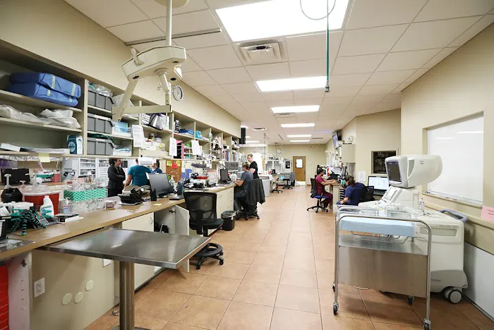 BluePearl Pet Hospital Picture 6