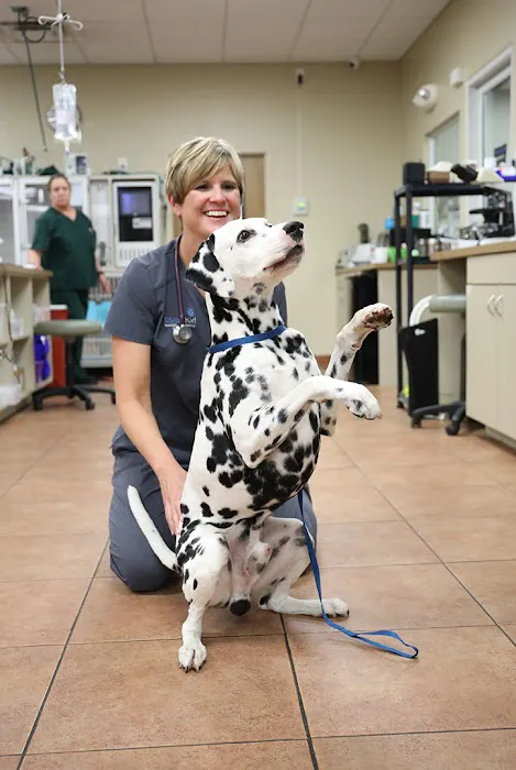 BluePearl Pet Hospital Picture 9