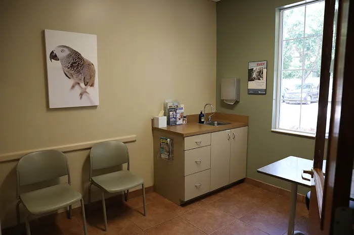 BluePearl Pet Hospital Picture 7
