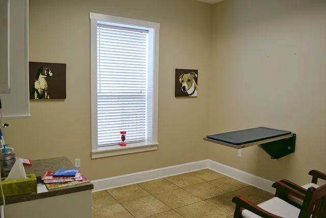 Bell Shoals Animal Hospital Picture 1