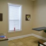 Bell Shoals Animal Hospital