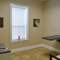 Bell Shoals Animal Hospital ico