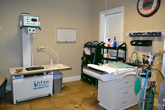 Bell Shoals Animal Hospital Picture 7