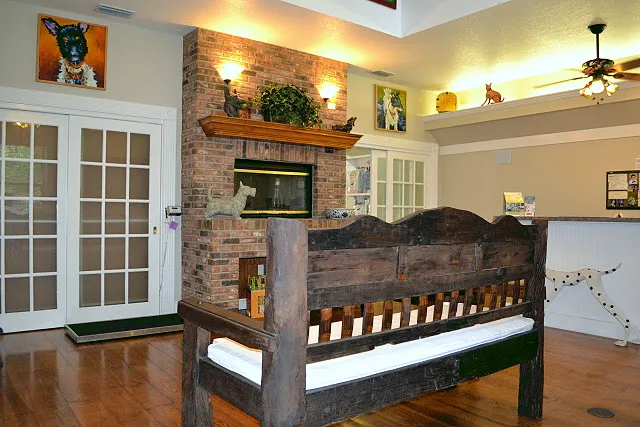 Bell Shoals Animal Hospital Picture 6