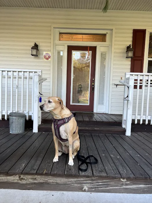 Bell Shoals Animal Hospital Picture 8