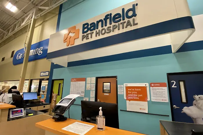 Banfield Pet Hospital Picture 2