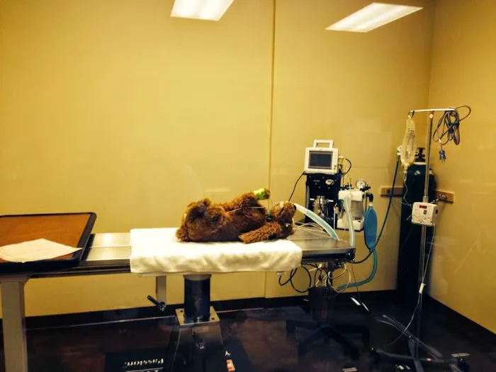 River Mill Animal Hospital - Dr. Tammie Hodge Picture 1