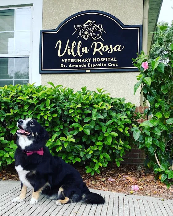 Villa Rosa Veterinary Hospital Picture 6