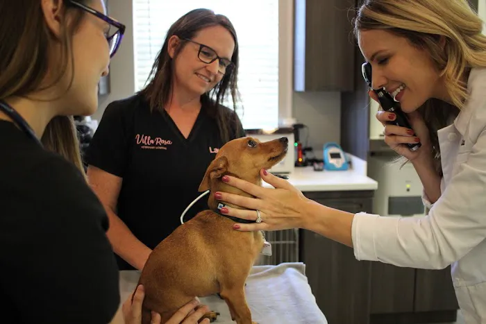 Villa Rosa Veterinary Hospital Picture 8