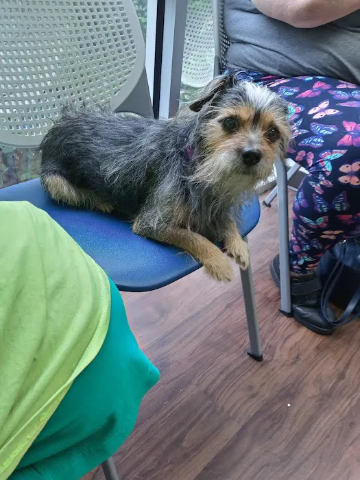 Pet Urgent Care of Wesley Chapel Picture 9