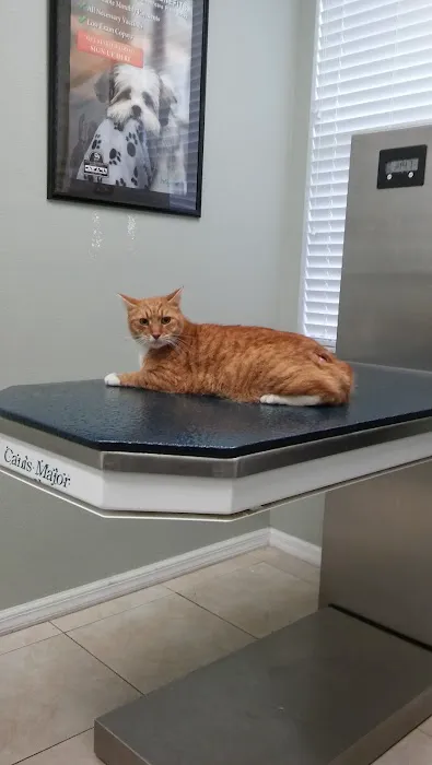 Animal Wellness Centre of Wesley Chapel Picture 10