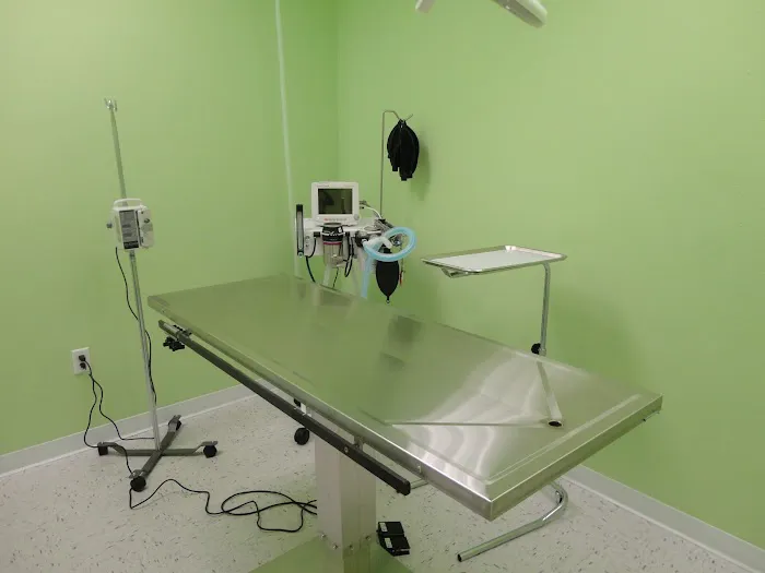 Pet Point Animal Hospital Picture 6