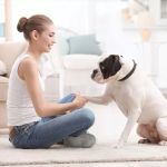 Top 8 Tips for Pet Training That Actually Work