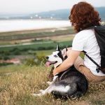 Top 7 Expert Tips for Ensuring Pet Safety at Home and On the Go