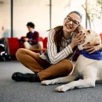Beginner's Guide to Pet Mental Health: Signs, Causes, and How to Help