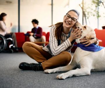 Beginner's Guide to Pet Mental Health: Signs, Causes, and How to Help