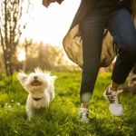 How to Improve Your Pet’s Mental Health: Everyday Steps That Make a Big Difference