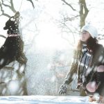 The Ultimate Guide to Seasonal Pet Care for U.S. Pet Owners
