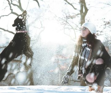 The Ultimate Guide to Seasonal Pet Care for U.S. Pet Owners