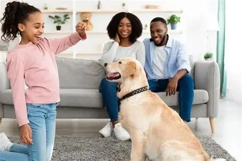 What Every Pet Owner Should Know About Pet Behavior