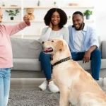 What Every Pet Owner Should Know About Pet Behavior