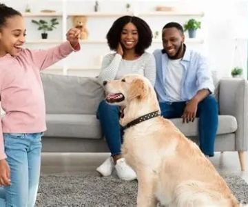 What Every Pet Owner Should Know About Pet Behavior