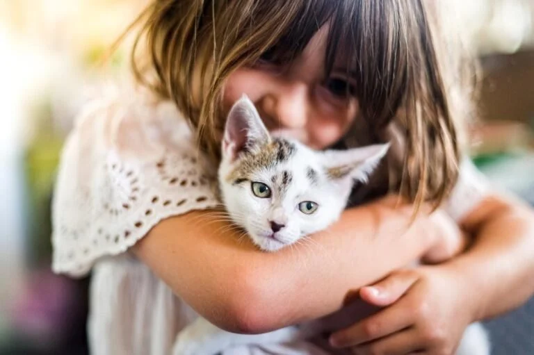 The Ultimate Guide to Pet Adoption: What Every Future Pet Parent Should Know