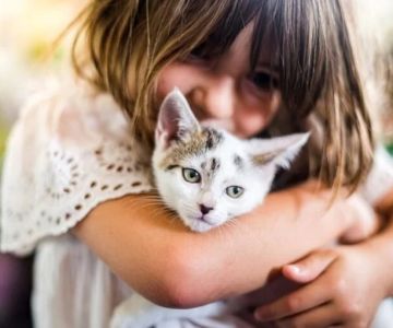 The Ultimate Guide to Pet Adoption: What Every Future Pet Parent Should Know