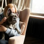 Pet Mental Health: What Vets Want You to Know in the US