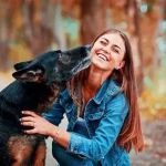 Top 10 Tips for Pet Safety Every Owner Should Know