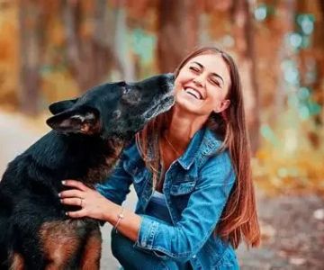 Top 10 Tips for Pet Safety Every Owner Should Know