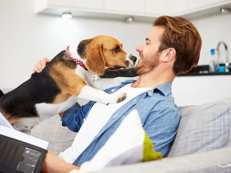 Beginner's Guide to Pet Insurance: What Every Pet Owner Should Know