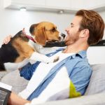 Beginner's Guide to Pet Insurance: What Every Pet Owner Should Know