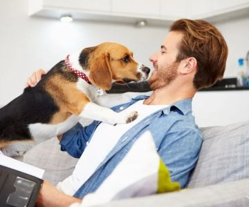 Beginner's Guide to Pet Insurance: What Every Pet Owner Should Know