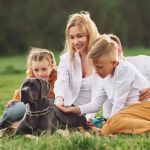 Beginner's Guide to Pet Training for American Families