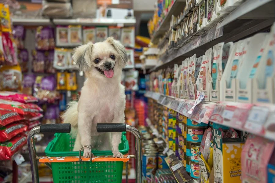 Find Local Pet Stores Near Me | Pet Shop Locator & Services