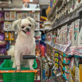 Pet Stores Near Me​