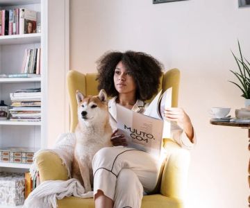 Top 11 Tips for Veterinary Advice Every Pet Owner Should Know