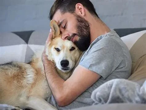 Is Your Pet’s Mental Health on Track? Signs, Causes & What to Do