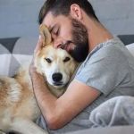 Is Your Pet’s Mental Health on Track? Signs, Causes & What to Do